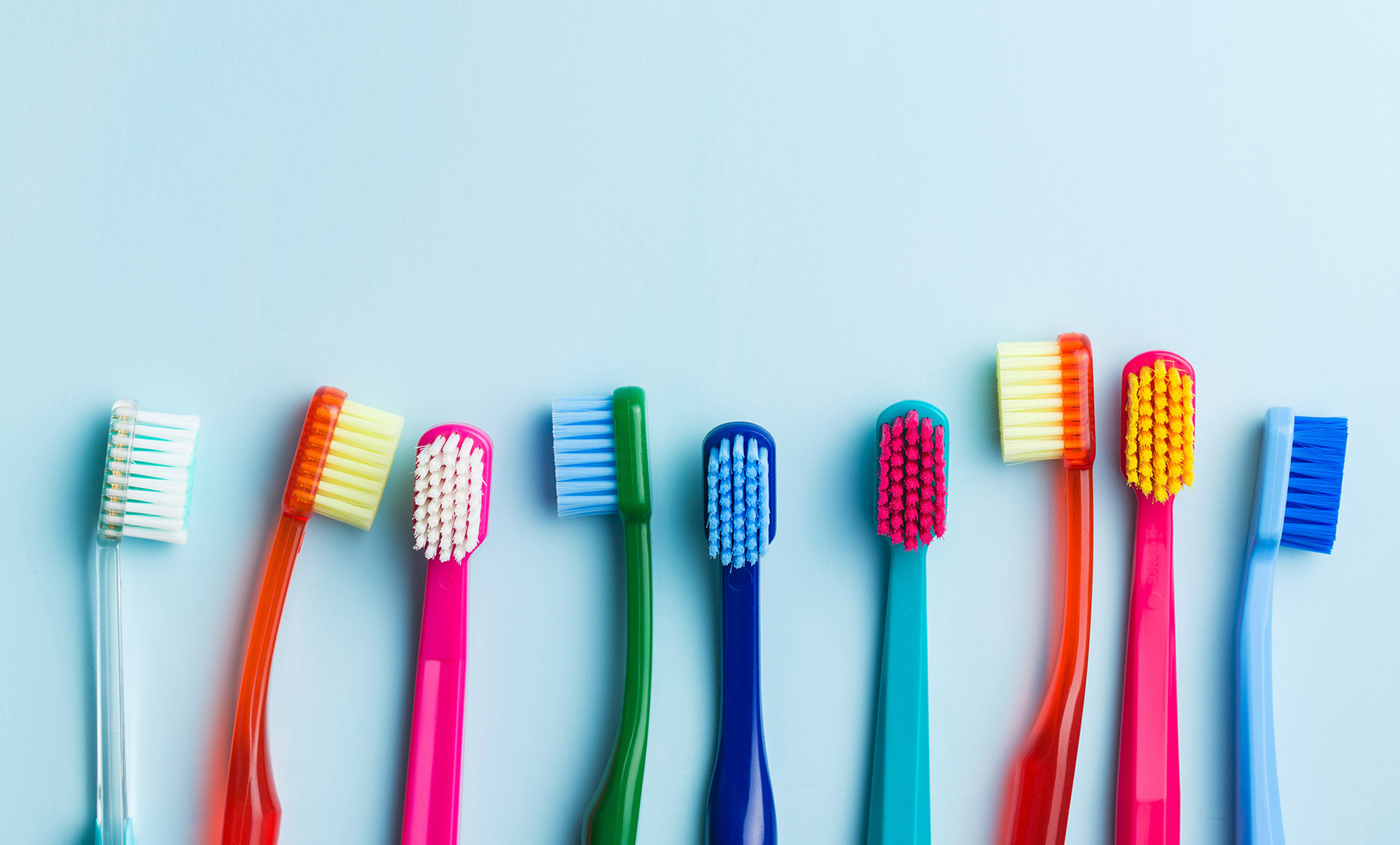 Partes de un cepillo dental y por qué son importantes - VITIS